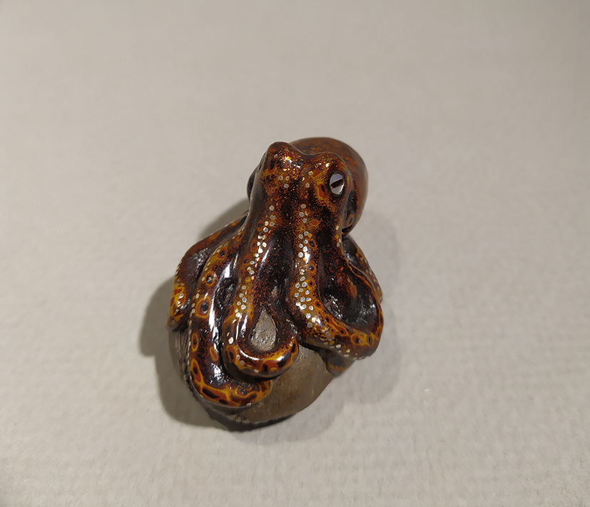 Octopus on a stone01